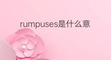 rumpuses是什么意思 rumpuses的中文翻译、读音、例句