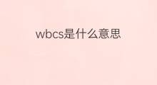 wbcs是什么意思 wbcs的中文翻译、读音、例句