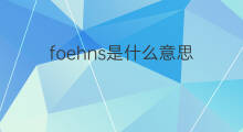 foehns是什么意思 foehns的中文翻译、读音、例句