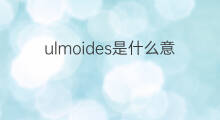 ulmoides是什么意思 ulmoides的中文翻译、读音、例句