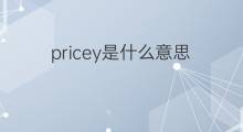 pricey是什么意思 pricey的中文翻译、读音、例句