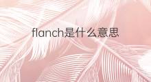 flanch是什么意思 flanch的中文翻译、读音、例句