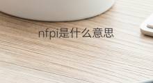 nfpi是什么意思 nfpi的中文翻译、读音、例句