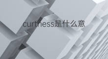 curtness是什么意思 curtness的中文翻译、读音、例句
