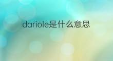 dariole是什么意思 dariole的翻译、读音、例句、中文解释