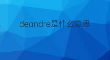 deandre是什么意思 deandre的中文翻译、读音、例句
