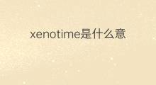 xenotime是什么意思 xenotime的中文翻译、读音、例句