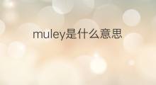 muley是什么意思 muley的中文翻译、读音、例句