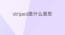 striped是什么意思 striped的中文翻译、读音、例句