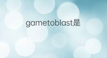 gametoblast是什么意思 gametoblast的中文翻译、读音、例句