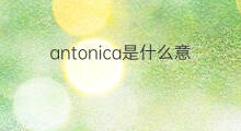 antonica是什么意思 antonica的中文翻译、读音、例句
