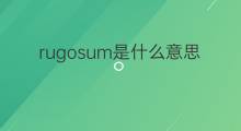 rugosum是什么意思 rugosum的中文翻译、读音、例句