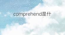 comprehend是什么意思 comprehend的中文翻译、读音、例句