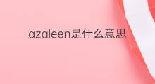 azaleen是什么意思 azaleen的中文翻译、读音、例句