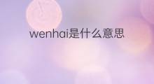 wenhai是什么意思 wenhai的中文翻译、读音、例句