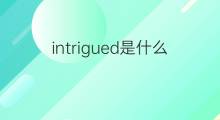 intrigued是什么意思 intrigued的翻译、读音、例句、中文解释