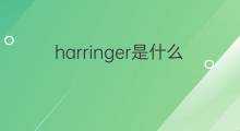 harringer是什么意思 harringer的中文翻译、读音、例句