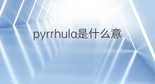 pyrrhula是什么意思 pyrrhula的中文翻译、读音、例句