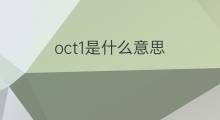 oct1是什么意思 oct1的翻译、读音、例句、中文解释