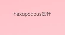 hexapodous是什么意思 hexapodous的中文翻译、读音、例句