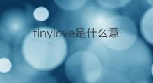 tinylove是什么意思 tinylove的中文翻译、读音、例句