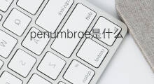penumbrae是什么意思 penumbrae的中文翻译、读音、例句