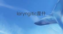 laryngitic是什么意思 laryngitic的中文翻译、读音、例句