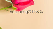 baochang是什么意思 baochang的中文翻译、读音、例句