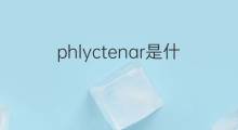 phlyctenar是什么意思 phlyctenar的中文翻译、读音、例句
