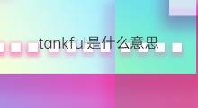 tankful是什么意思 tankful的中文翻译、读音、例句