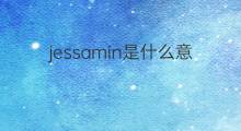 jessamin是什么意思 jessamin的中文翻译、读音、例句