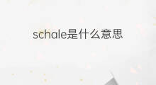schale是什么意思 schale的中文翻译、读音、例句