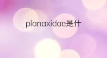 planaxidae是什么意思 planaxidae的中文翻译、读音、例句