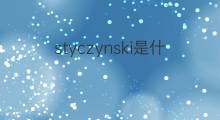 styczynski是什么意思 styczynski的中文翻译、读音、例句