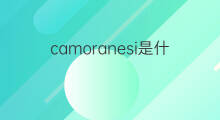 camoranesi是什么意思 camoranesi的中文翻译、读音、例句
