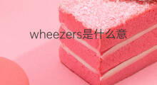 wheezers是什么意思 wheezers的中文翻译、读音、例句