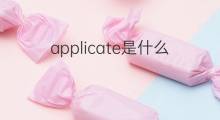 applicate是什么意思 applicate的中文翻译、读音、例句