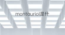 montauriol是什么意思 montauriol的中文翻译、读音、例句