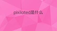 pixilated是什么意思 pixilated的中文翻译、读音、例句