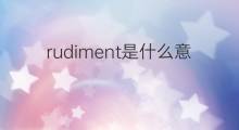 rudiment是什么意思 rudiment的翻译、读音、例句、中文解释