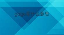 gage是什么意思 gage的中文翻译、读音、例句