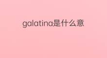 galatina是什么意思 galatina的中文翻译、读音、例句