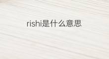 rishi是什么意思 rishi的中文翻译、读音、例句