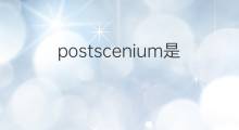 postscenium是什么意思 postscenium的中文翻译、读音、例句