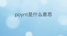 poynt是什么意思 poynt的中文翻译、读音、例句