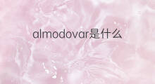almodovar是什么意思 almodovar的中文翻译、读音、例句