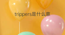 trippers是什么意思 trippers的中文翻译、读音、例句
