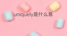 uniquely是什么意思 uniquely的中文翻译、读音、例句