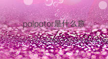 palpator是什么意思 palpator的中文翻译、读音、例句