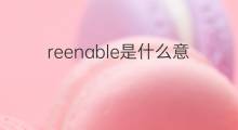 reenable是什么意思 reenable的中文翻译、读音、例句